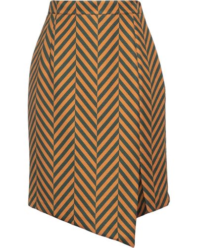 Camicettasnob Midi Skirt - Multicolour