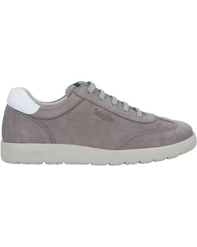 Callaghan Sneakers - Gray