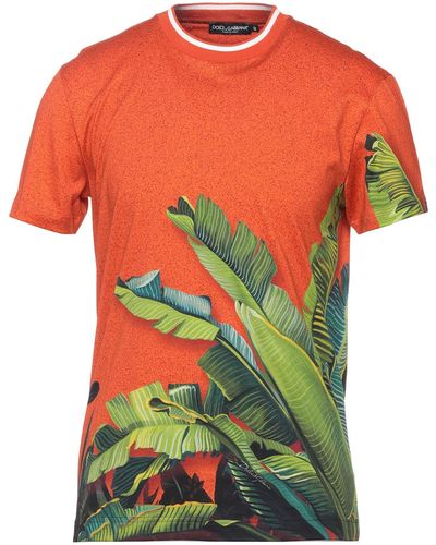 Dolce & Gabbana T-shirt - Orange