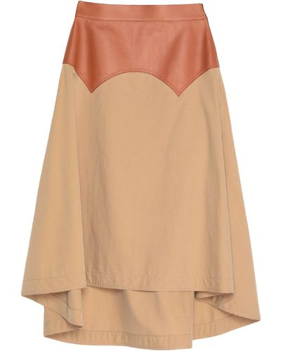 Loewe Long Skirt - Multicolour