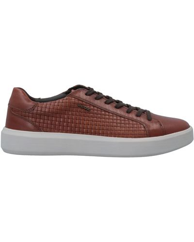 Geox Low-top sneakers for Men | Online Sale up to 87% off | Lyst - Page 2