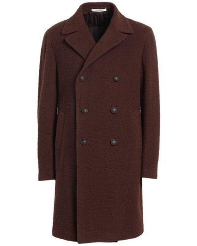 Tagliatore Coat Virgin Wool, Polyamide - Brown