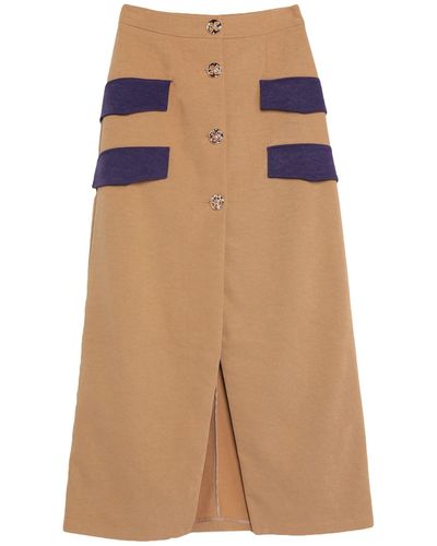 WEILI ZHENG Maxi Skirt - Multicolour