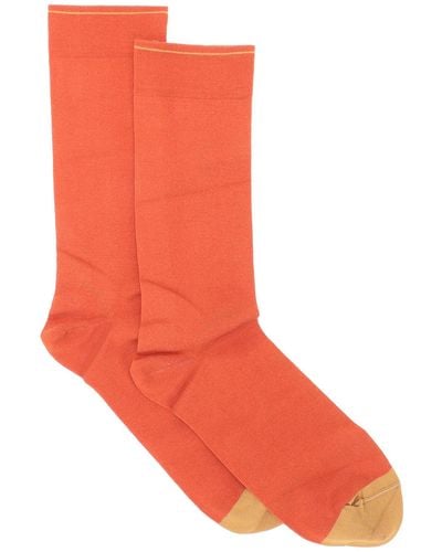 Bonne Maison Socks & Hosiery - Orange
