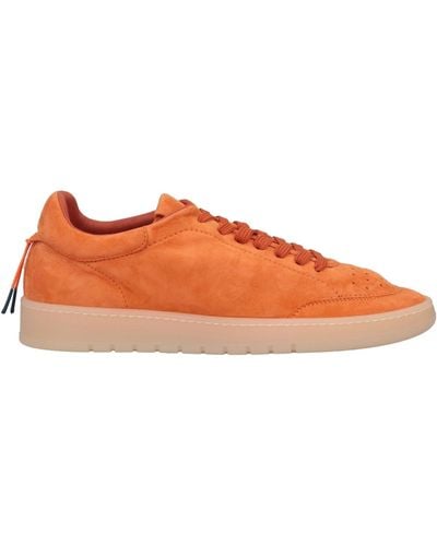 Barracuda Sneakers - Orange