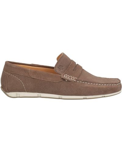 Harmont & Blaine Loafer - Brown