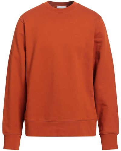 Y-3 Sweatshirt - Orange
