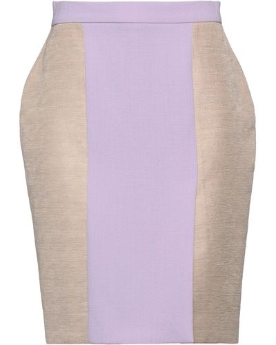 ROKSANDA Midi Skirt - Purple
