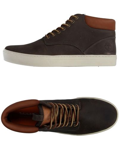 Timberland High-tops & Trainers - Brown