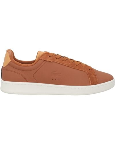 Lacoste Trainers - Brown