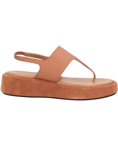 Atp Atelier Thong Sandal - Brown