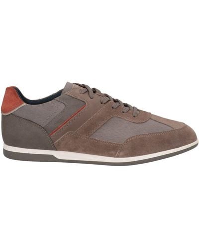 Geox Trainers - Brown