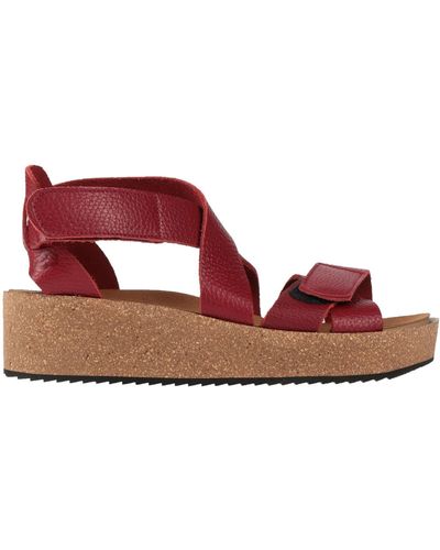 Callaghan Mules & Clogs - Red