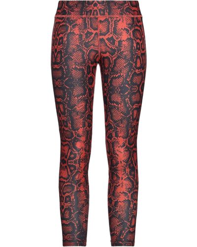 Aniye By Leggings - Red