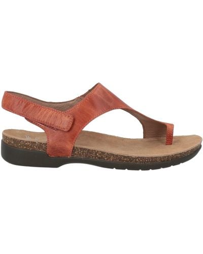 Dansko Rust Thong Sandal Leather - Brown