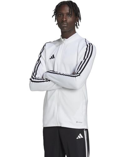Adidas big outlet & tall jacket