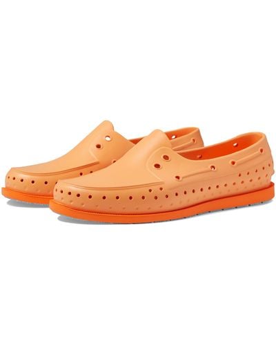 Native Shoes Howard Sugarlite - Orange