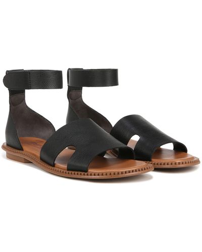 Zodiac Fran Ankle Strap Sandal - Black