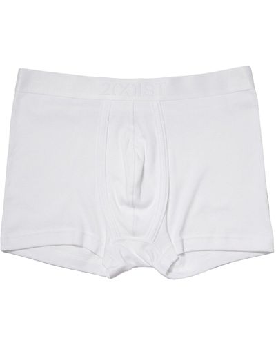 2xist 2(x)ist Pima Trunk (white New Logo) Underwear