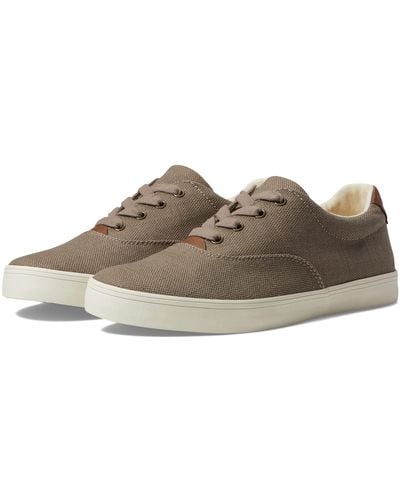 Taos Footwear Ballentine - Brown