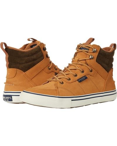 High top sperry top on sale sider