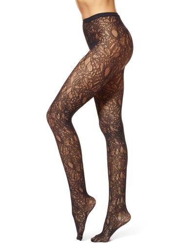 Hue Butterfly Fashion Tights - Brown