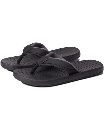 Hari mari brazos clearance lx