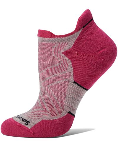 Smartwool Run Targeted Cushion Low Ankle - Pink