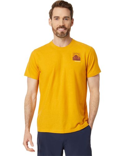Smartwool Forest Finds Graphic Short Sleeve Tee - Yellow