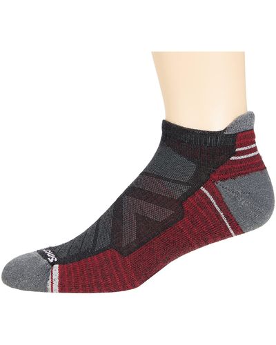 Smartwool Performance Hike Light Cushion Low Ankle - Gray