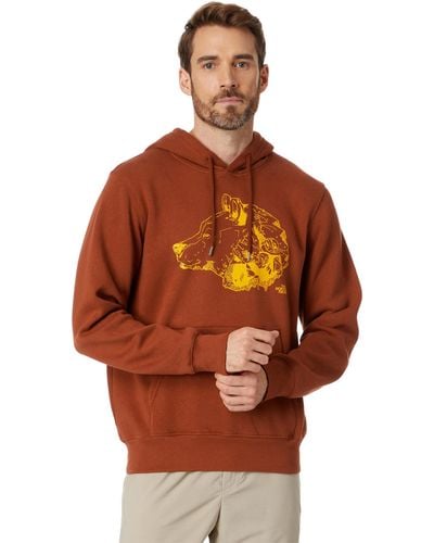 The North Face Tnf Bear Pullover Hoodie - Brown