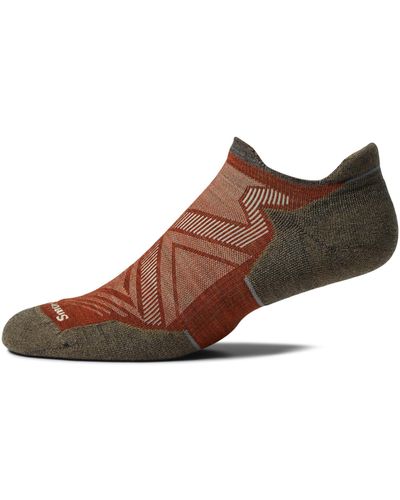 Smartwool Run Targeted Cushion Low Ankle - Brown