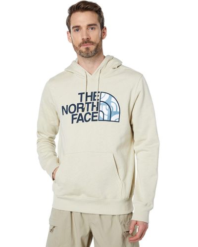The North Face Half Dome Pullover Hoodie - Metallic