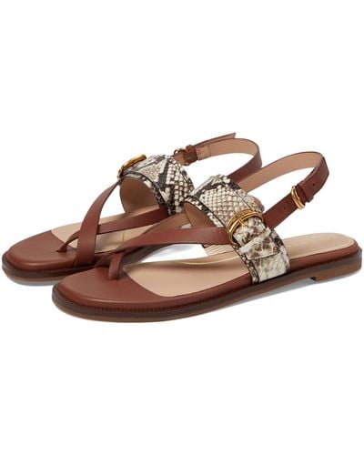 Cole Haan Anica Lux Buckle Sandals - Brown