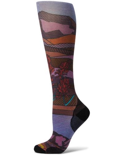 Smartwool Ski Zero Cushion Floral Field Print Over The Calf - Red