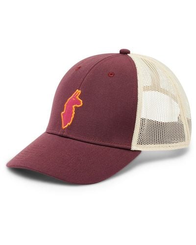 COTOPAXI Llama Trucker Hat - Red