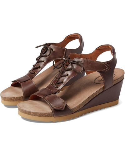 Taos Footwear Tie Wish - Brown
