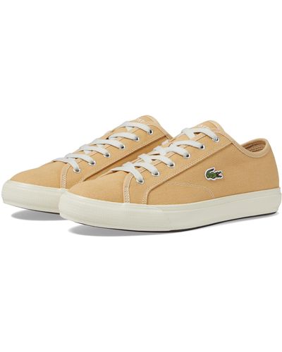 Lacoste Backcourt 124 1 Cma - Brown