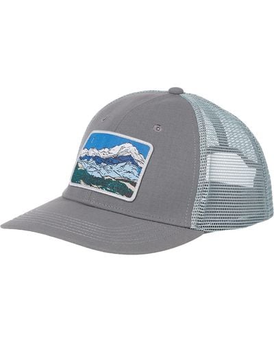 Sunday Afternoons Artist Series Patch Trucker - Gray