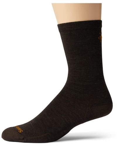 Smartwool Everyday Anchor Line Crew - Brown