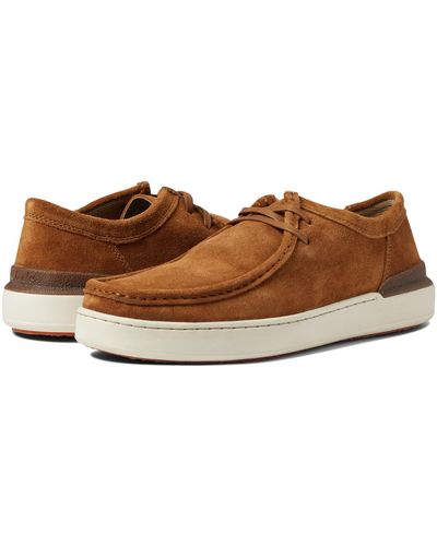 Clarks Courtlite Wally - Brown