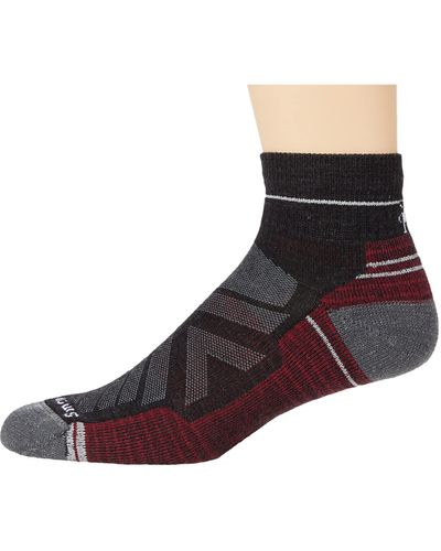 Smartwool Performance Hike Light Cushion Ankle - Gray
