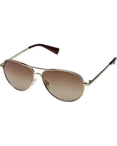Cole Haan Ch7037 (gold/brown Gradient) Fashion Sunglasses