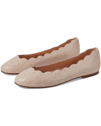 French Sole Jigsaw - Brown