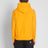 Champion Orange Script Logo Hoody for men
