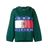 Tommy Hilfiger Op De Achterkant Print Cropped Hoodie in het Green