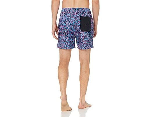 Quiksilver Mens Variable Volley 17 Nb