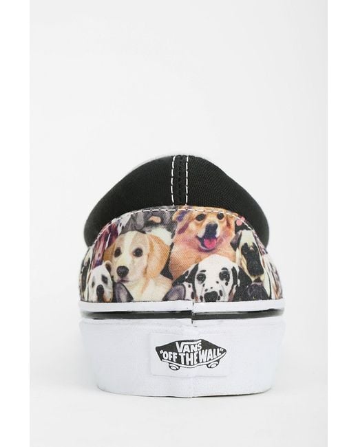 Vans aspca dog slip ons store