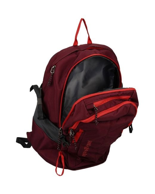 Patagonia red sale backpack