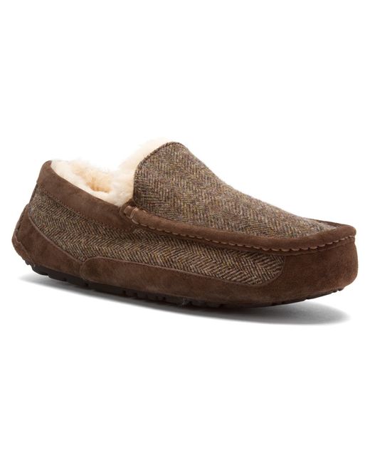 Indooroopilly Shopping Shoes Indooroopilly Shopping Shoes